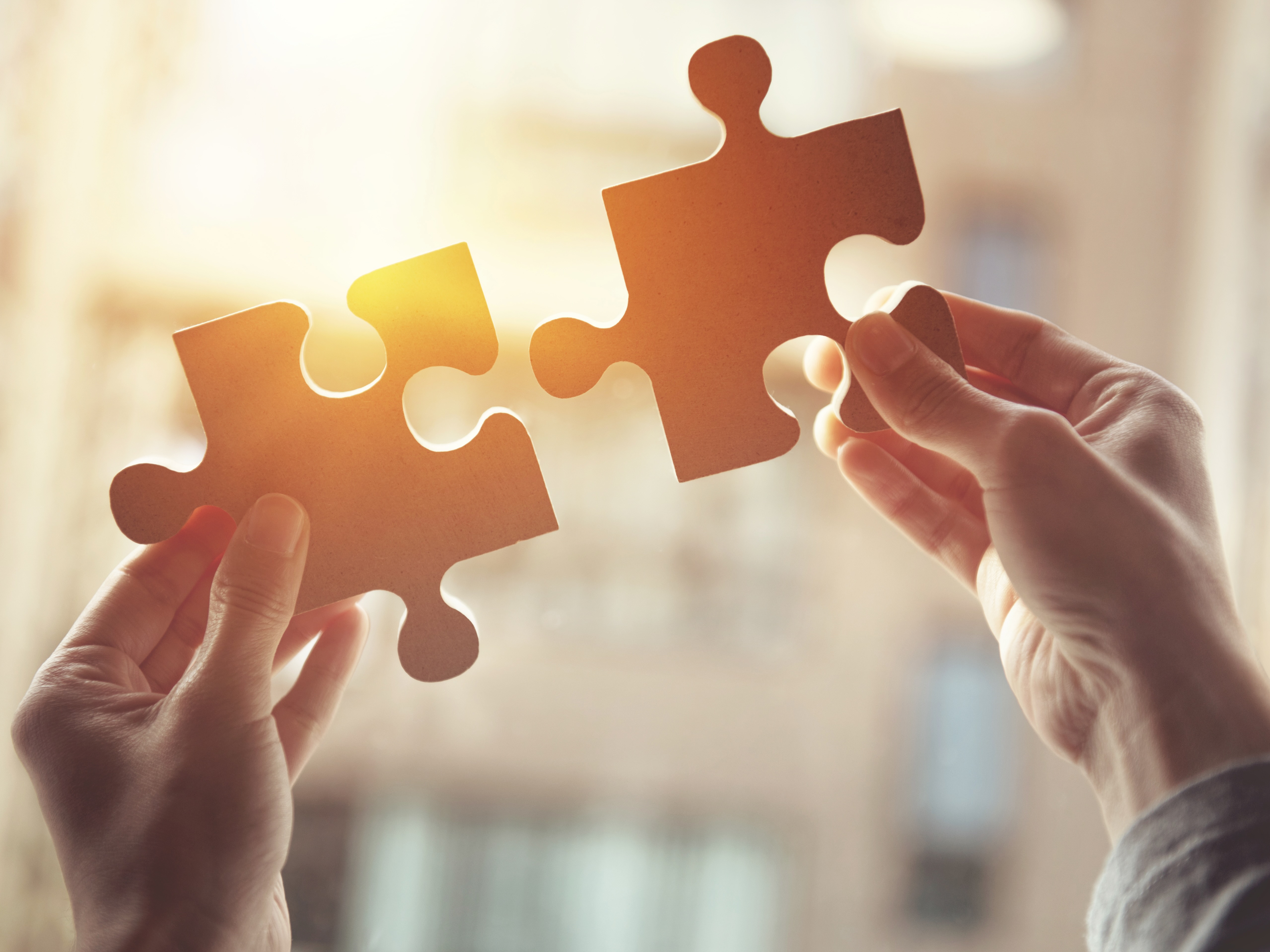 article thumbnail image